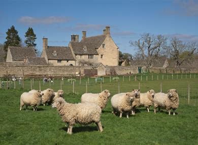 Cogges Manor Farm - History and Heritage in Witney, Oxfordshire - Visit ...