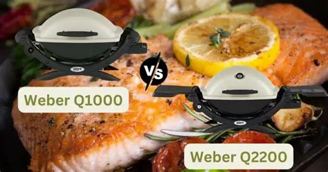 Weber Q1000 Vs Q2200: Comparison For The Ideal Grilling Experience ...