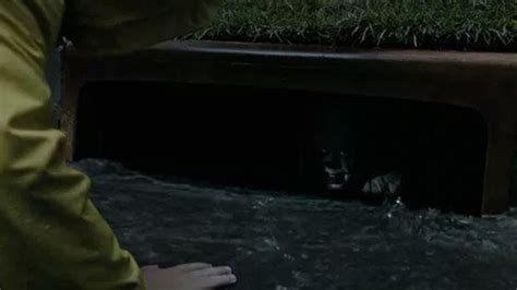 Pennywise in the Sewer | Know Your Meme