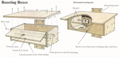 Bird Roost Plan One - Nighttime Shelter for Winter Birds | Winter bird, Bird house plans ...