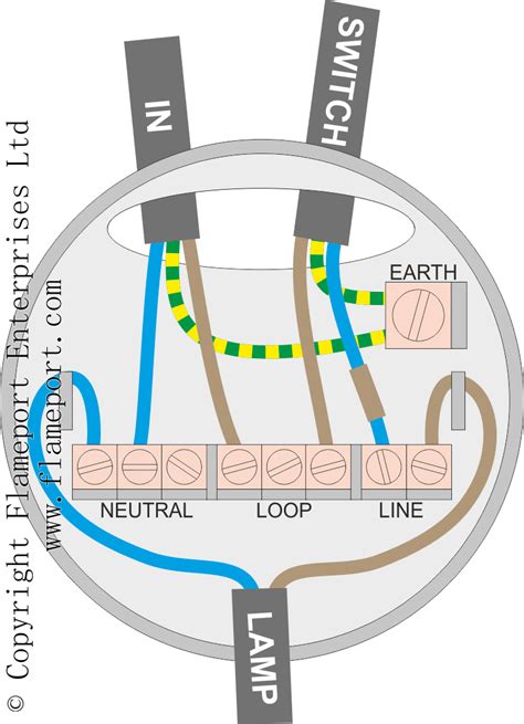 What Is Loop In Ceiling Rose | Shelly Lighting