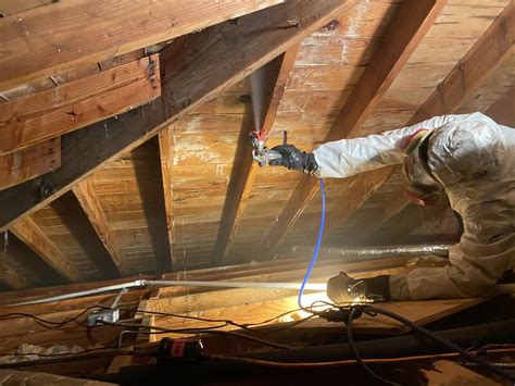 Best Ways To Deal With Mold In Your Attic | Attic Mold Removal