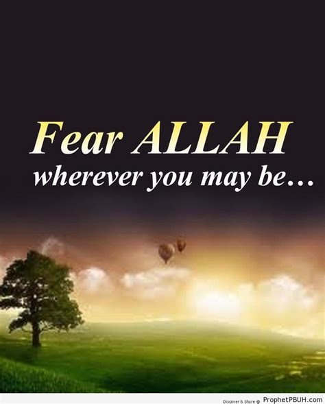 Fear Allah – Islamic Quotes About Taqwa (Fear and Mindfulness of God, Protecting Oneself from ...