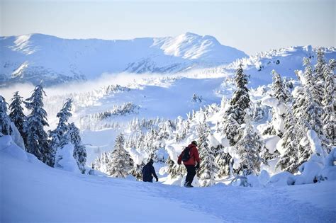 Eaglecrest Ski Resort – an Alaskan Must-Visit — Juneau Hotel