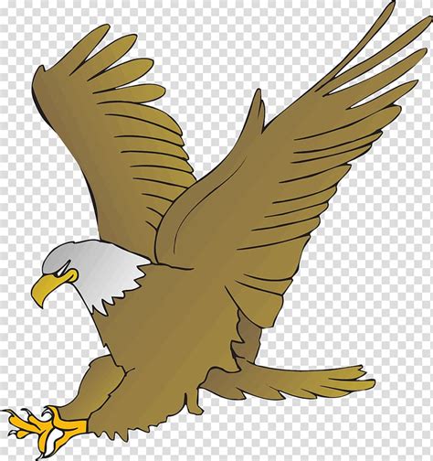 eagle cartoon clipart 15 free Cliparts | Download images on Clipground 2024