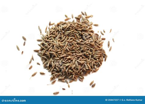 Pile Of Cummin Seeds Royalty Free Stock Photography - Image: 20447237