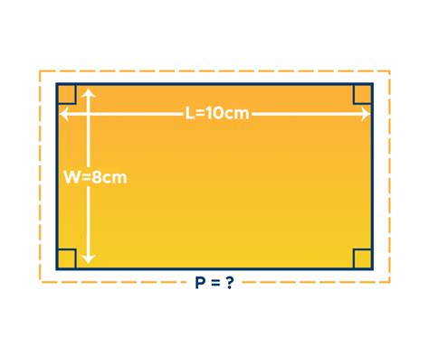 Perimeter of a Rectangle: Formula & Examples - Curvebreakers