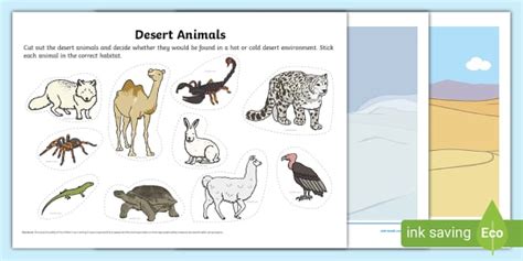 Desert Animals Cut and Stick Sorting Activity (Teacher-Made)