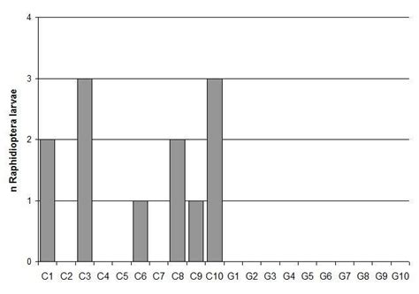 Number of Raphidioptera larvae in all samples (C1-C10 =... | Download Scientific Diagram