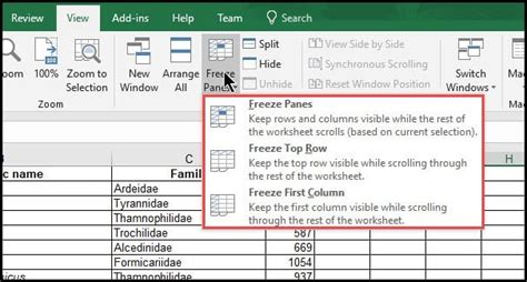 How to freeze 2nd row in excel - artsjolo