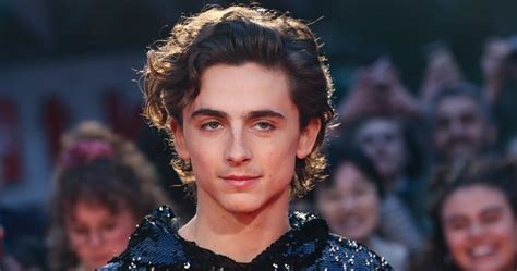 Timothée Chalamet's 15 Best Movies (According To Rotten Tomatoes)