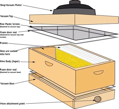 Bee vacuum plans | Bee keeping, Bee hive plans, Bee hives boxes