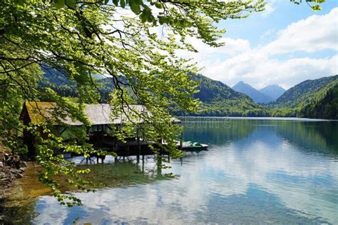 Emerald-green Lake Alpsee in Alps in Hohenschwangau Near Castles Hohenschwangau and ...