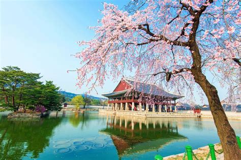 Pin by Erin Sierra on Traveling | Visit seoul, Beautiful views, South korea