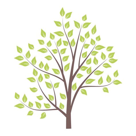 Green tree isolated on white background. 5753013 Vector Art at Vecteezy