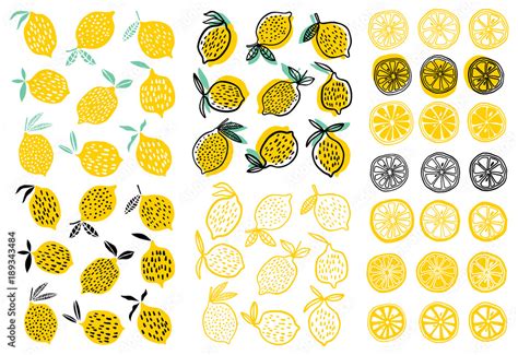 Lemon vector illustration Stock Vector | Adobe Stock