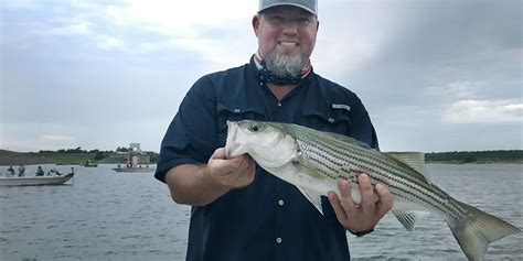 The 3 Most Effective Types of Striper Lures – LakeHub