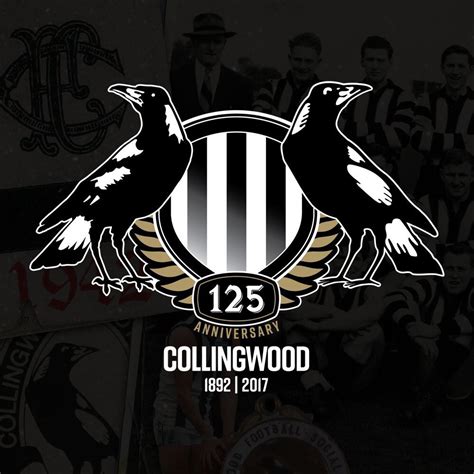 Mario Montgomery Kabar: Collingwood Magpies