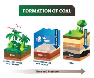 Arriba 48+ imagen formation fossil fuels - Abzlocal.mx