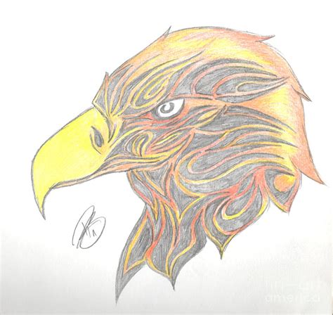 Golden Eagle Drawing Head