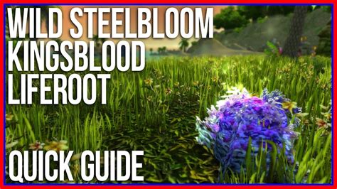 Quick Guide: Wild Steelbloom, Kingsblood, Liferoot Farming - YouTube