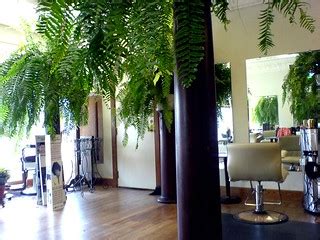 Hair salon was nice | Was my first time in this place and I … | Flickr