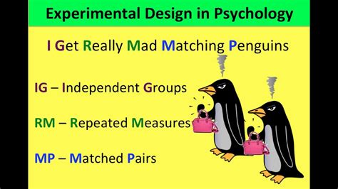 Experimental Design in Psychology (AQA A Level) - YouTube