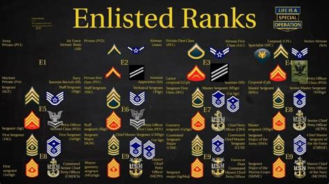 Army Enlisted Ranks & Pay 2024