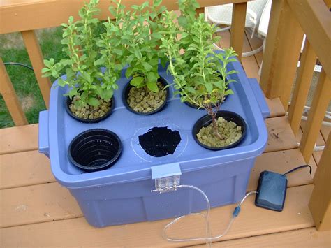 Complete Hydroponic System for Beginners: How to Grow Awesome Vegetables