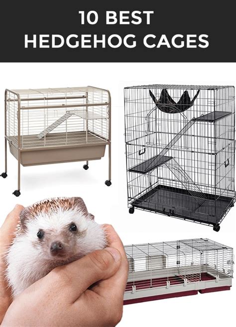 10 Best Hedgehog Cages And Their Reviews - Hedgehogged | Hedgehog cage, Hedgehog pet, Hedgehog ...