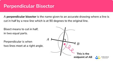 Perpendicular Bisector - GCSE Maths - Steps, Examples & Worksheet