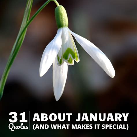 What Makes January Unique? Discover 31 Inspiring Quotes!