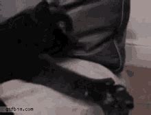 Cat Thumbs Up Cat GIF - Cat Thumbs Up Cat Thumbs Up - Discover & Share GIFs