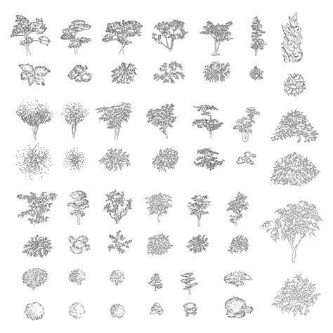 Japanese Plants and Trees DWG CAD Blocks in Plan and Elevation (25+ Pi – Cadnature