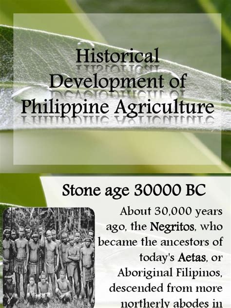 History of Philippine Agriculture | Philippines | Agriculture