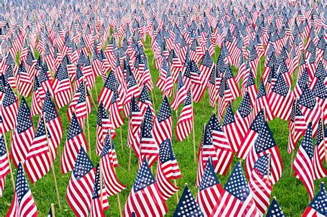 9,100+ America Protest Flag Stock Photos, Pictures & Royalty-Free ...