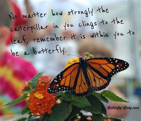 Be a butterfly. | Butterfly quotes, Butterfly inspiration, Leaf quotes