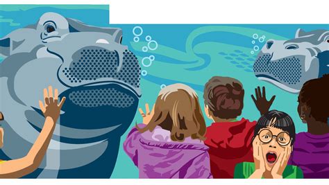 Vote for the Fiona the hippo mural: A closer look at one of the designs