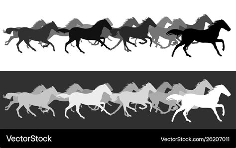 Horse Herd Running Silhouette