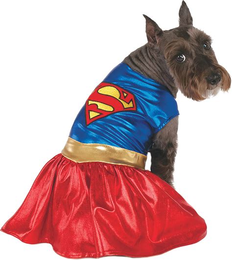 Superhero Dog Costumes and Ideas + Where to Buy Online!