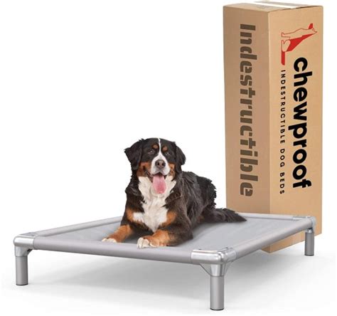 Complete Guide to Dog Houses, Crates & Beds - Tough Dog Bed For Heavy ...