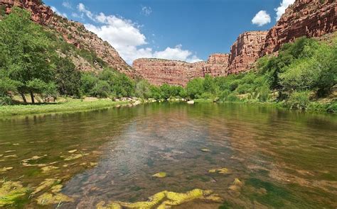 Acting Now – Preserving a Healthy, Flowing River - Friends of the Verde River