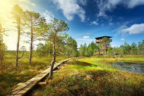 Places to Visit in Estonia - Lahemaa Day Trip - Nordic Experience