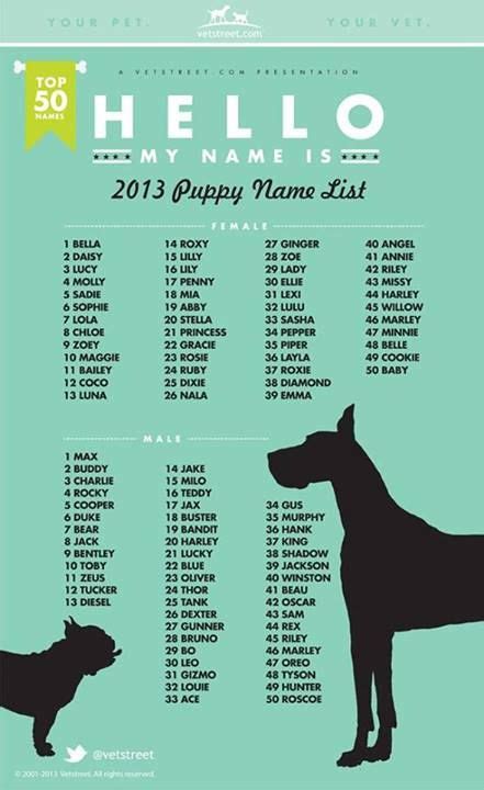 VETSTREET.COM 2013 TOP NAMES - PetGuide | Puppy names, Dog names, Popular dog names