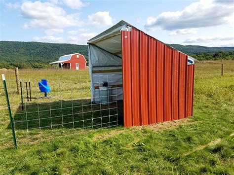 How to Build a DIY Animal Shelter for Barnyard Animals | Simplified ...