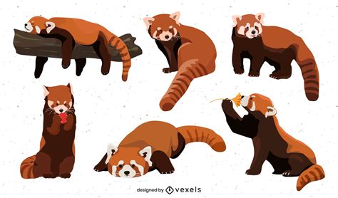 Cute Flat Red Panda Set Vector Download