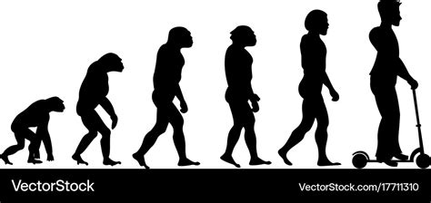 Monkey Human Evolution Chart