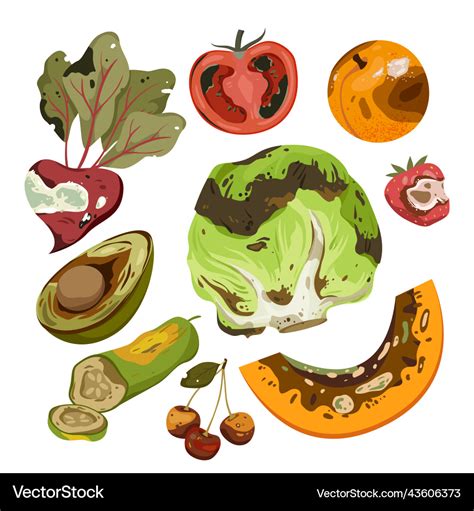 Cartoon isolated spoiled and damaged fruit Vector Image