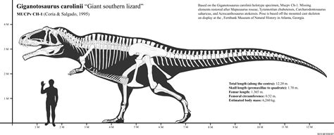 GIGANOTOSAURUS by paleonerd01 : r/Dinosaurs