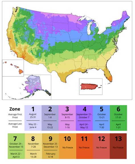 The ultimate guide to plant hardiness zones – Artofit